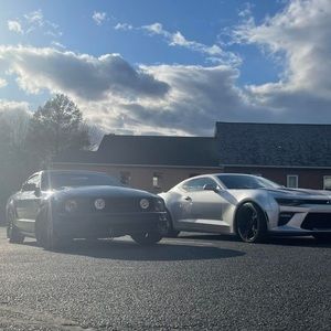 Meet your Posher, Michael